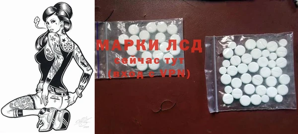 эйфоретик Аркадак