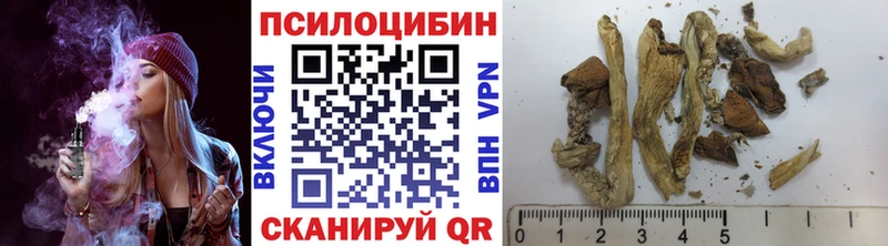 цены   Рассказово  Псилоцибиновые грибы мухоморы 