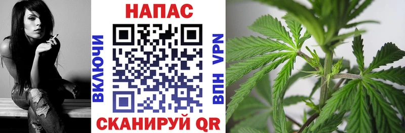 Каннабис VHQ  omg маркетплейс  Рассказово  наркотики 
